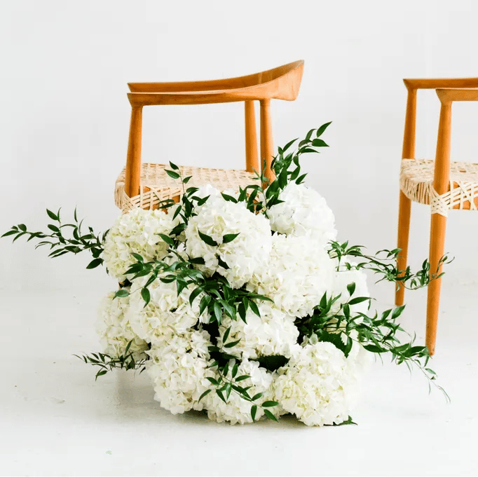Poppy Flowers: Types of Wedding Flowers- Hydrangeas