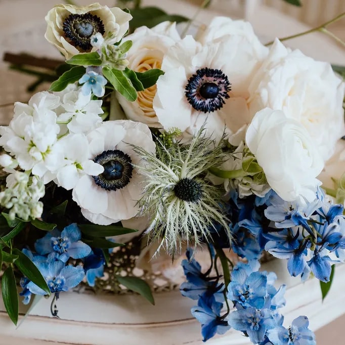 Poppy Flowers: Types of Wedding Flowers- Anemone