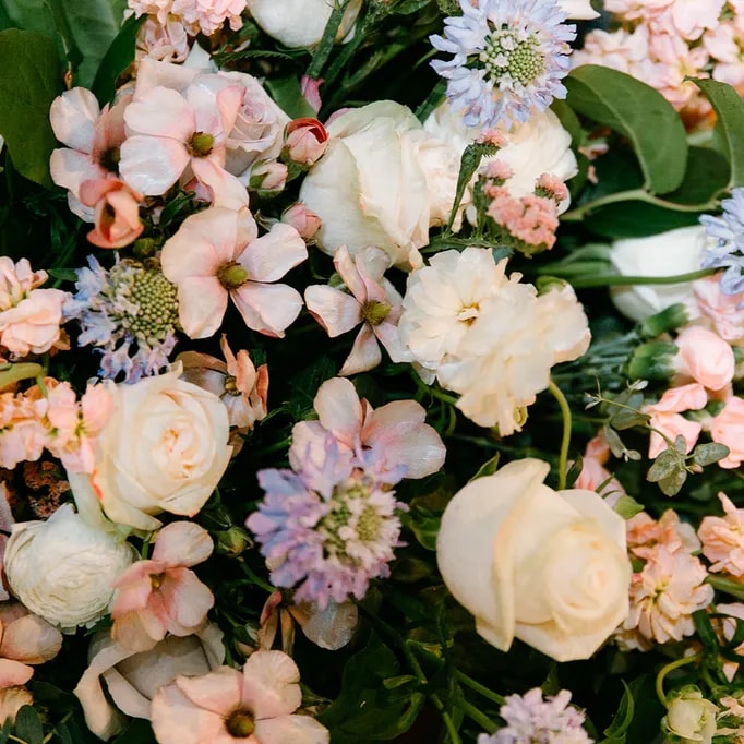 Poppy Flowers: Types of Wedding Flowers- Scabiosa