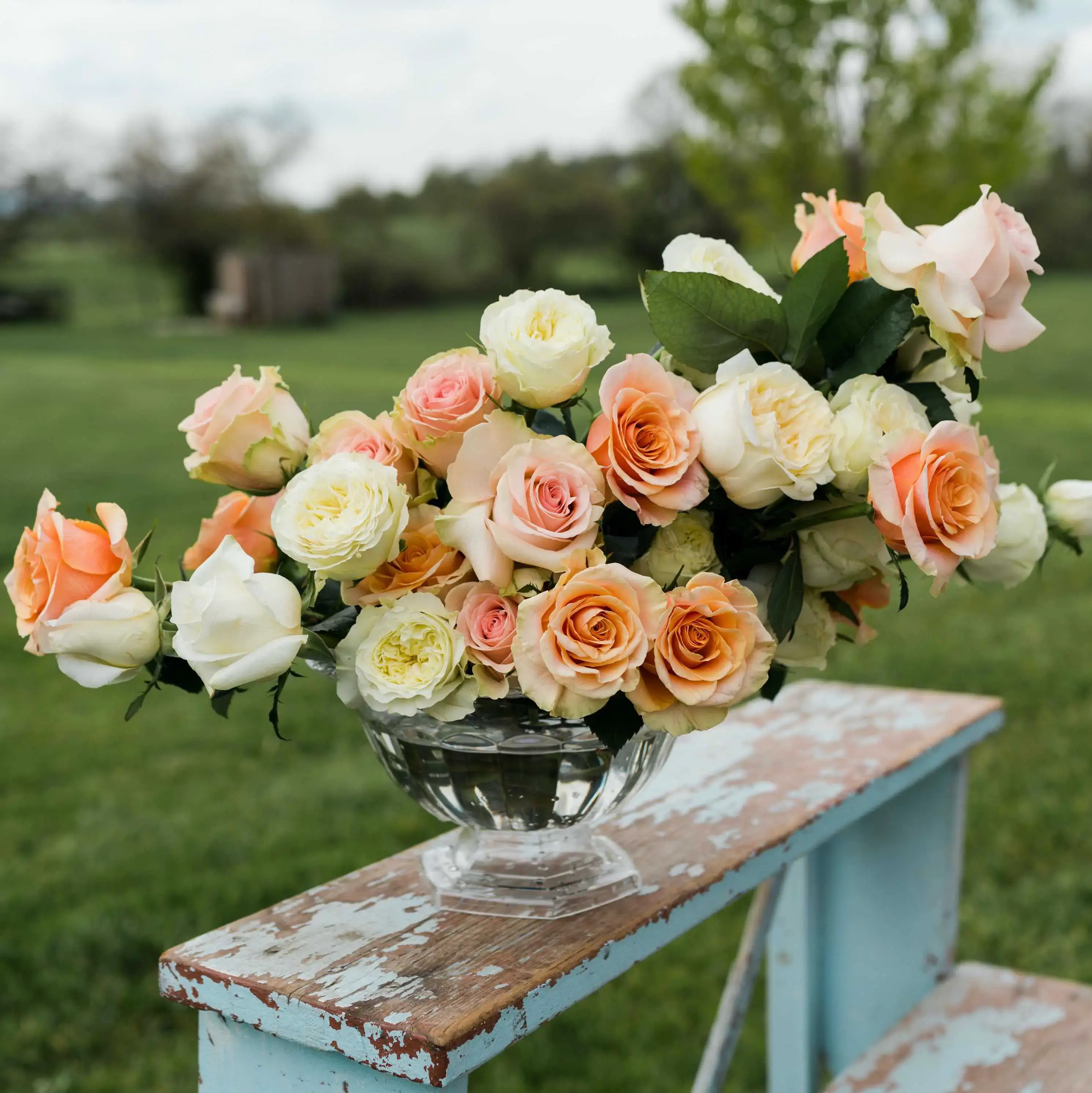 A Flower's Journey